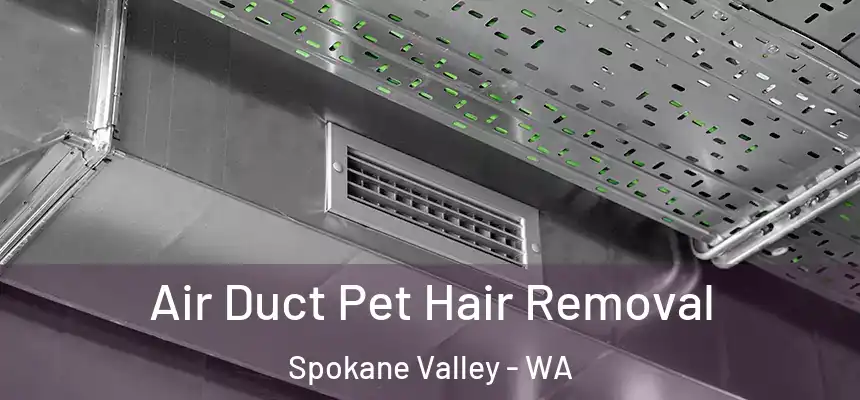  Air Duct Pet Hair Removal Spokane Valley - WA