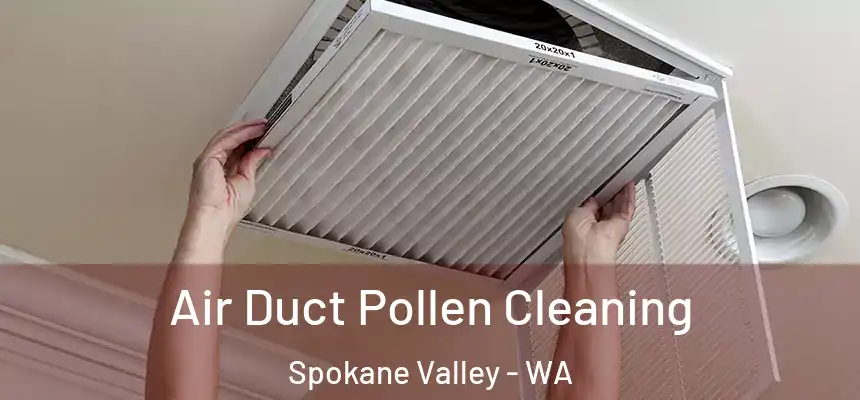 Air Duct Pollen Cleaning Spokane Valley - WA