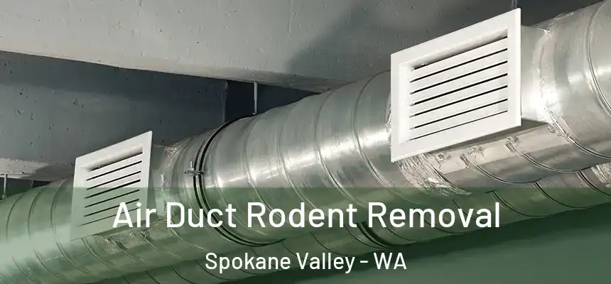  Air Duct Rodent Removal Spokane Valley - WA