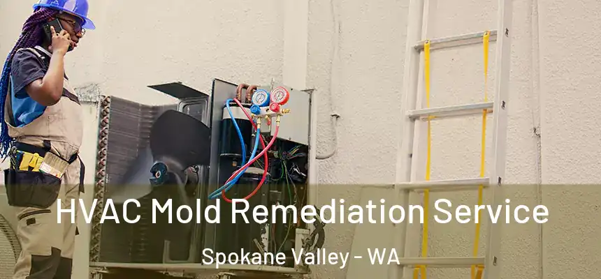  HVAC Mold Remediation Service Spokane Valley - WA