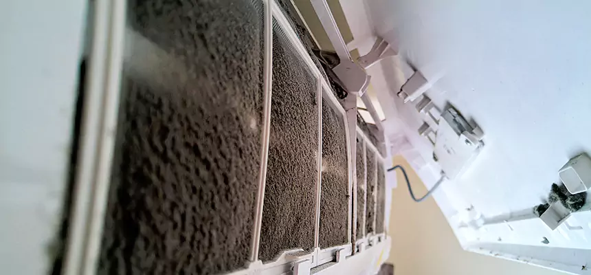 Preventive Air Duct Bacteria Removal in Spokane Valley