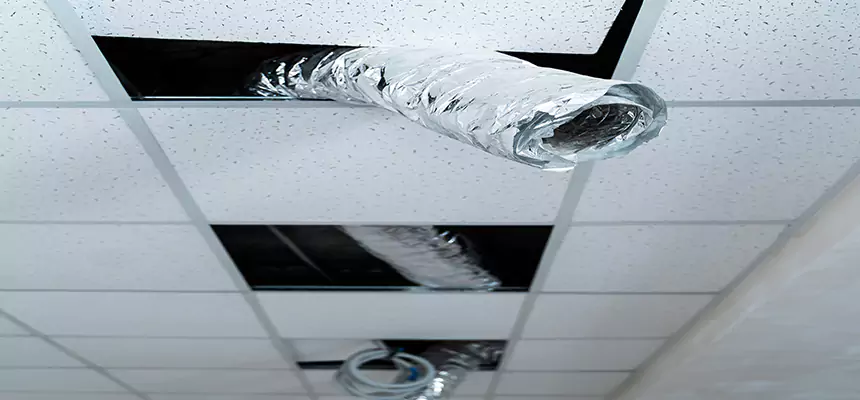 Our Air Duct Pet Hair Removal Services in Spokane Valley, WA