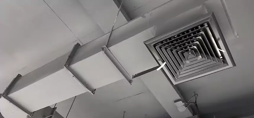 Our Pest Removal From Ducts Services in Spokane Valley, WA