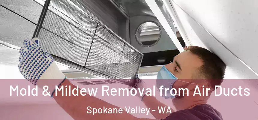 Mold & Mildew Removal from Air Ducts Spokane Valley - WA