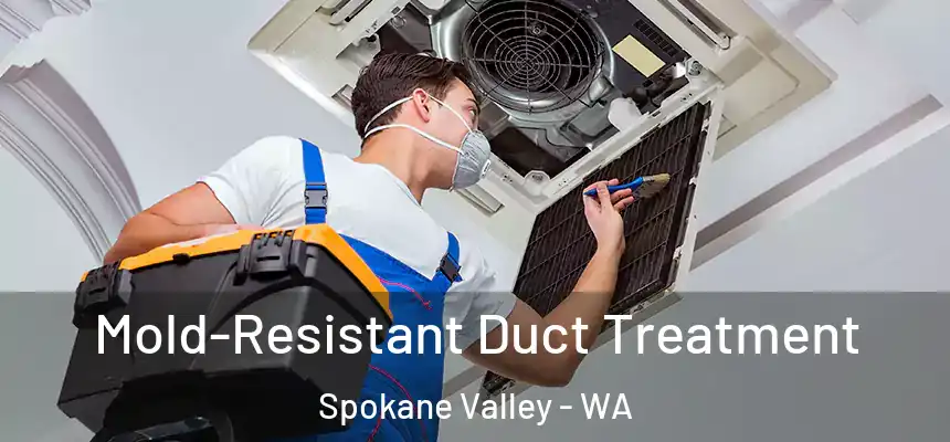  Mold-Resistant Duct Treatment Spokane Valley - WA
