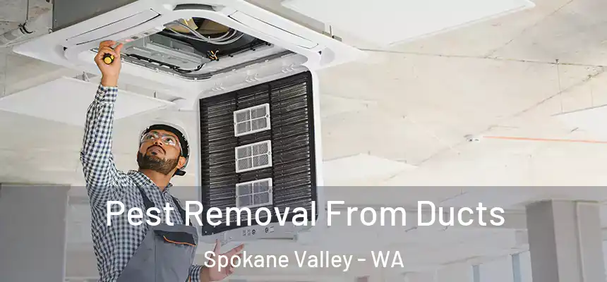 Pest Removal From Ducts Spokane Valley - WA
