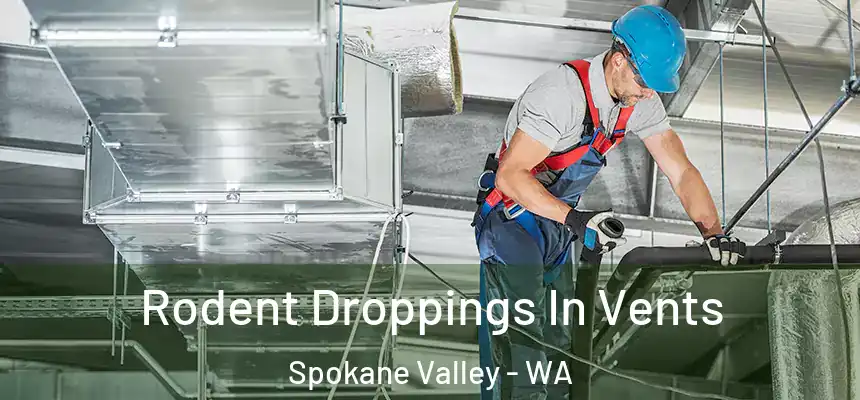 Rodent Droppings In Vents Spokane Valley - WA