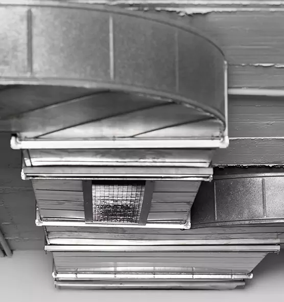 Professional Air Duct Pest Removal in Spokane Valley, WA