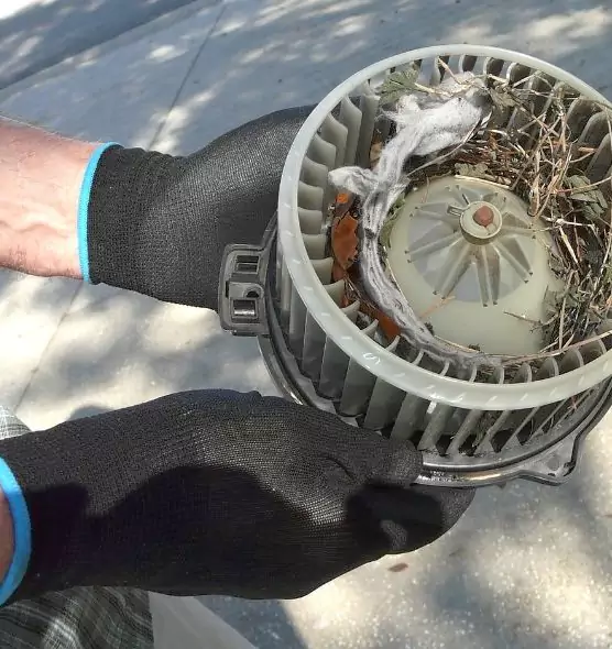 About Air Duct Rat Removal in Spokane Valley, WA